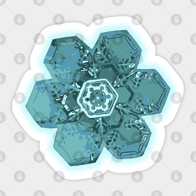 Teal Snowflake - Monochromatic Winter - Cold Lover Sticker by TuncGK